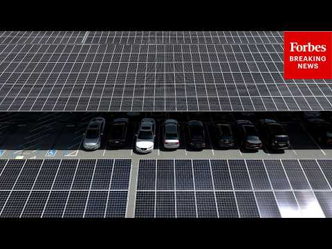 Forbes Reporter Explains How Tesla’s Solar Panel Business Went From ‘Failed’ To ‘A Great Business’