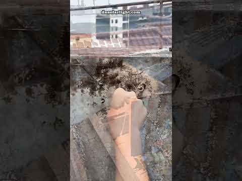 #SolarGardenLights #EcoLighting #GreenEnergy