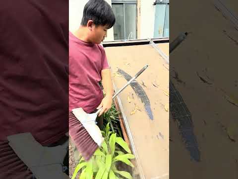 “Solar panel dust problem” 😲 #shorts