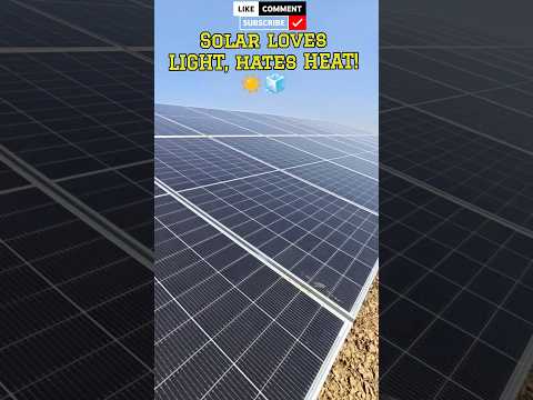 🌞When Solar Panel Generates Maximum Power? ☀️ Temprature Facts ⚡ Tech Logic #shorts #engineering