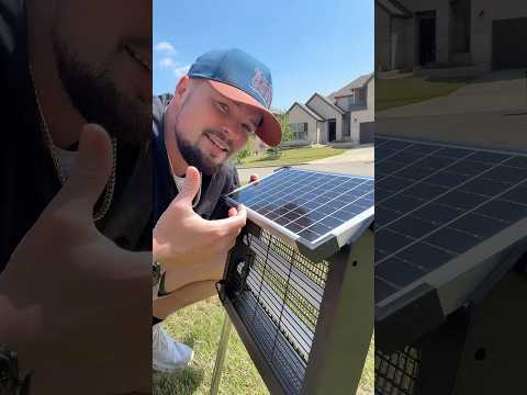 Solar Powered bug zapper, keeping my yard bug free #solarpowered #bugzapper #bugrepellent #bugs