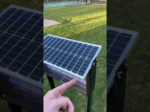 Solar powered mosquito bug zapper #bugzapper #mosquitos #mosquitotrap #bugtrap