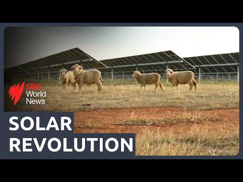 Farming sunshine: How regional communities are driving Australia’s renewable energy revolution