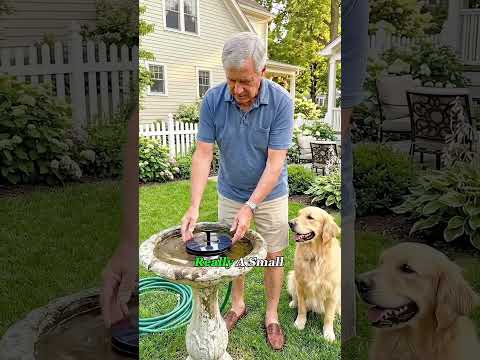This Tiny Solar Fountain Needs No Electricity. #solarenergy #solar #water #knowledge