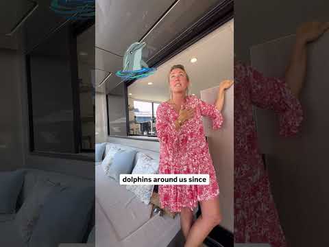 Why Solar Power Yachts ARE Superior 🐬