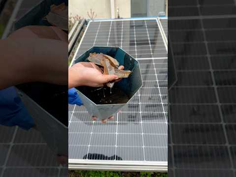 Can rain wash leaves off solar panels? The result might surprise you？#superpiping