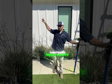 Dirty solar panels can quietly cut your energy output by up to 25%.