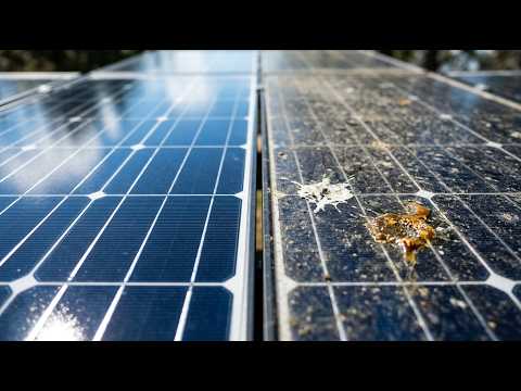 How to Clean Solar Panels Without Water (And Why You Should)