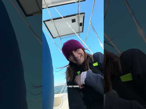 New solar panels for our sailboat!