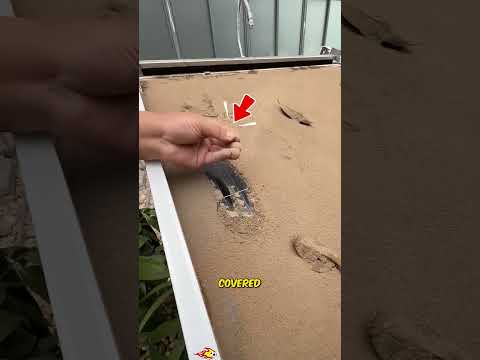 Do you know how workers clean solar panels?