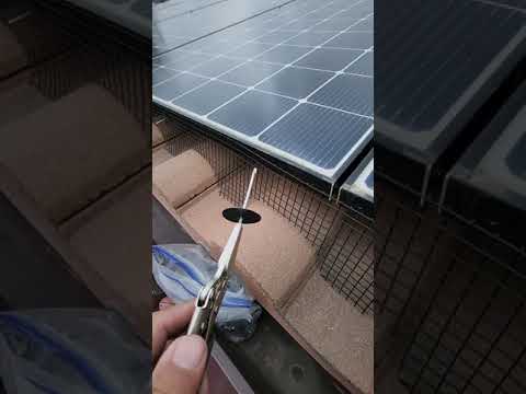 How To Put a Clip Under The Solar Panels For Bird Proofing #youtubeshort #shorts #short