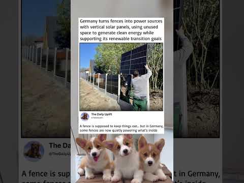 germany turns fences into vertical solar panels for clean energy.