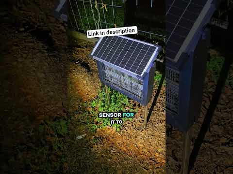 Solar Power Bug Zapper 🐛! #gardening #funny #organicgarden #gardeningtips