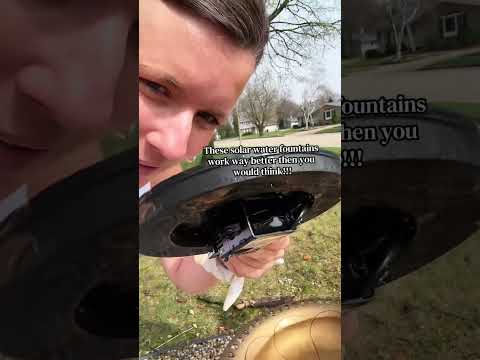 Transform Your Yard with a Solar Water Fountain #SolarWaterFountain #SolarPower #YardDecor