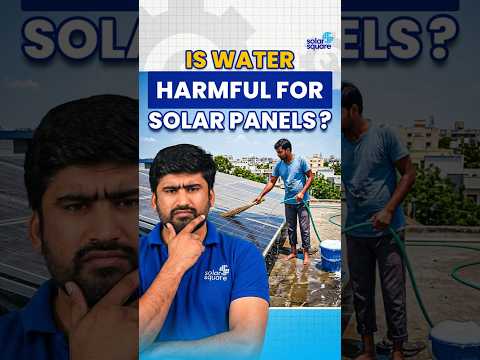 How To Clean Solar Panels? – Water vs Soap vs Chemical #shorts