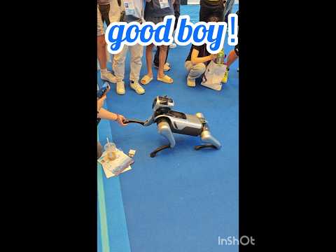 Robot Dog Inspects & Cleans Solar Panels — The Future of Clean Energy! 🤖☀️