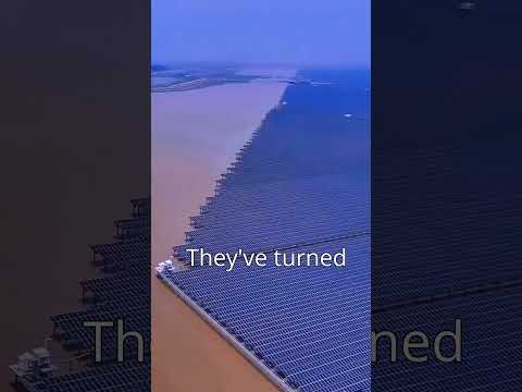 Why China has installed solar panels in the sea. 🌊