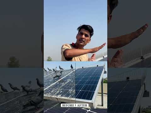 Bird Spikes for Solar Panel with Stand