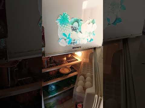 2 Solar Panel Per Fridge Water Pump 4 Fan | 1kw Solar system #solarsystem #mppt #carinverter #solar