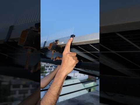 Bird Spike for Solar Panel #birdspikes #solarpanalcleaning #shorts