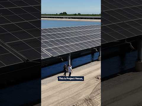 California’s new solar panels just solved a HUGE problem