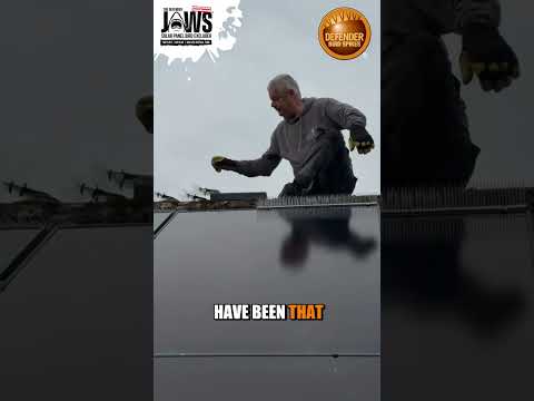 Stop Pigeons Perching on Solar Panels Fast with Defender Jaws