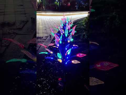 Solar-Powered Phoenix Tail Light Shines in 7 Colors! #FeaturedPost #CoolGadgets