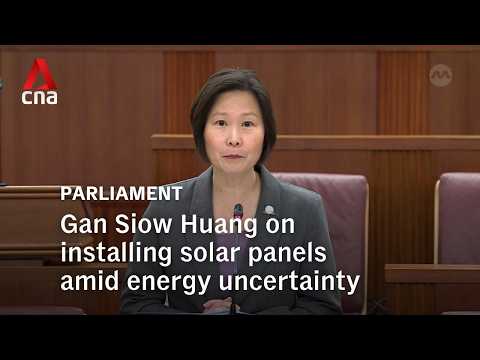 Gan Siow Huang on installing solar panels amid energy uncertainty