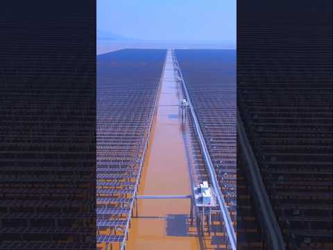 Why Is China Covering Lakes with Solar Panels? ☀️🌊 #shorts