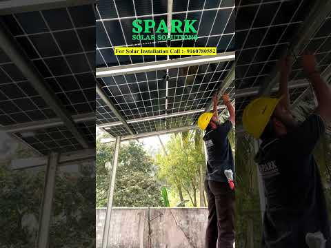 Monkeys Near Your Home? 🐒 Can Solar Panels Survive? (Must Watch!)