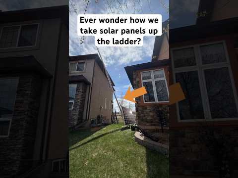 Part 1: How we bring solar panels up the ladder…maybe…See part 2 #solarfacts #calgary #solarpanels