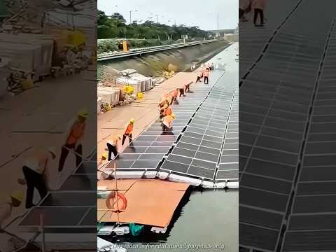 Why Is China Covering Lakes with Solar Panels?#facts #trending #ytshorts