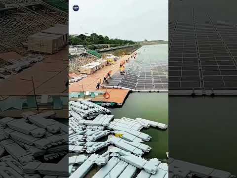 Why Is China Covering Lakes With Solar Panels?