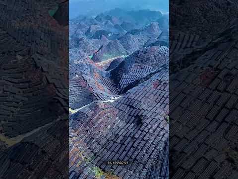 The Real Reason China Put Solar Panels on Mountains #shortsfeed