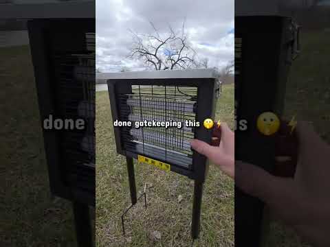 Done Gatekeeping This Solar Bug Zapper — You Need To See It