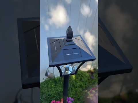 RUN or you will miss it !!!!! #solarlights #solarlight #outdoorlighting *Disclaimer: Prices, sales,